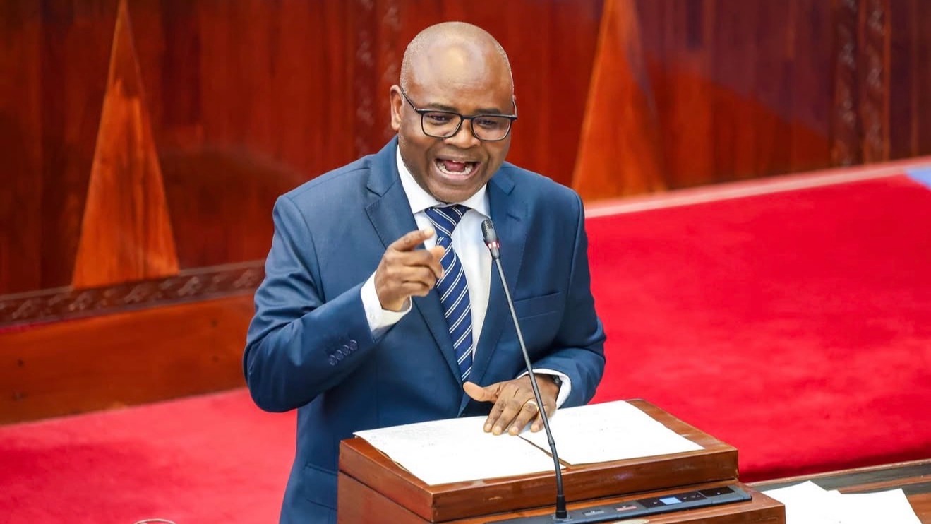 WAZIRI PROF. MKUMBO ATAJA MAENEO MATANO YA KIPAUMBELE MPANGO WA MAENDELEO WA TAIFA WA MWAKA 2026/27